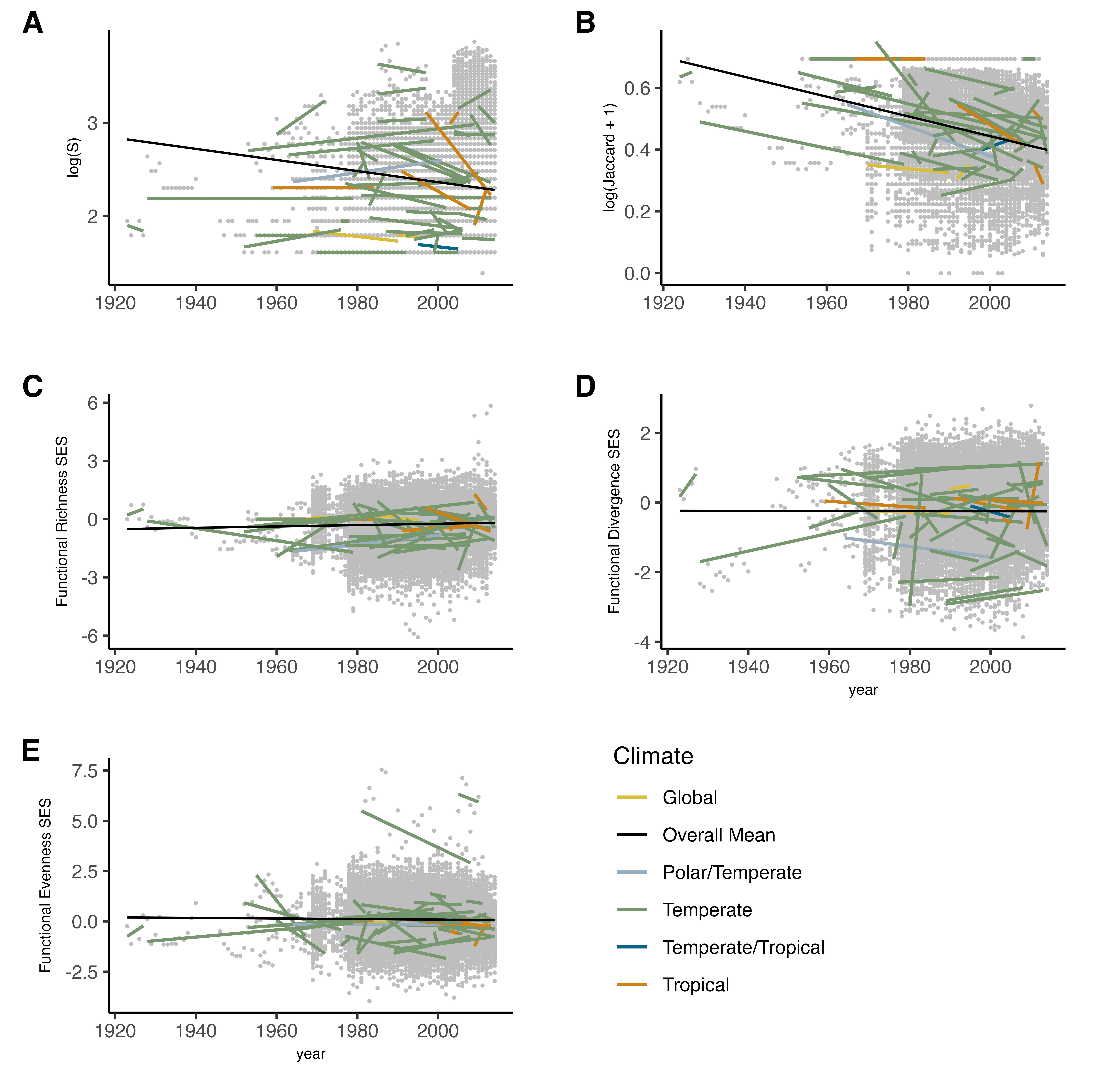 time series models